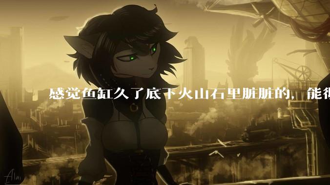 感觉鱼缸久了底下火山石里脏脏的，能彻底换水清理一遍不？